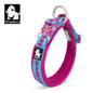 TrueLove TLC50121 Reflective Neoprene Dog Collar with Matching Leash, Adjustable Nylon Collar for All Dog Sizes