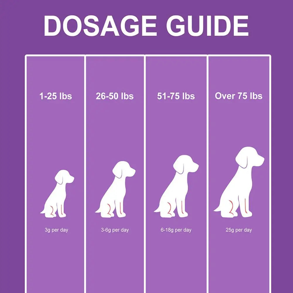 Dog Probiotic Intestinal Powder Gut Care Digestive Health Immune Support Chicken Beef Flavor Pet Nutrition Supplement