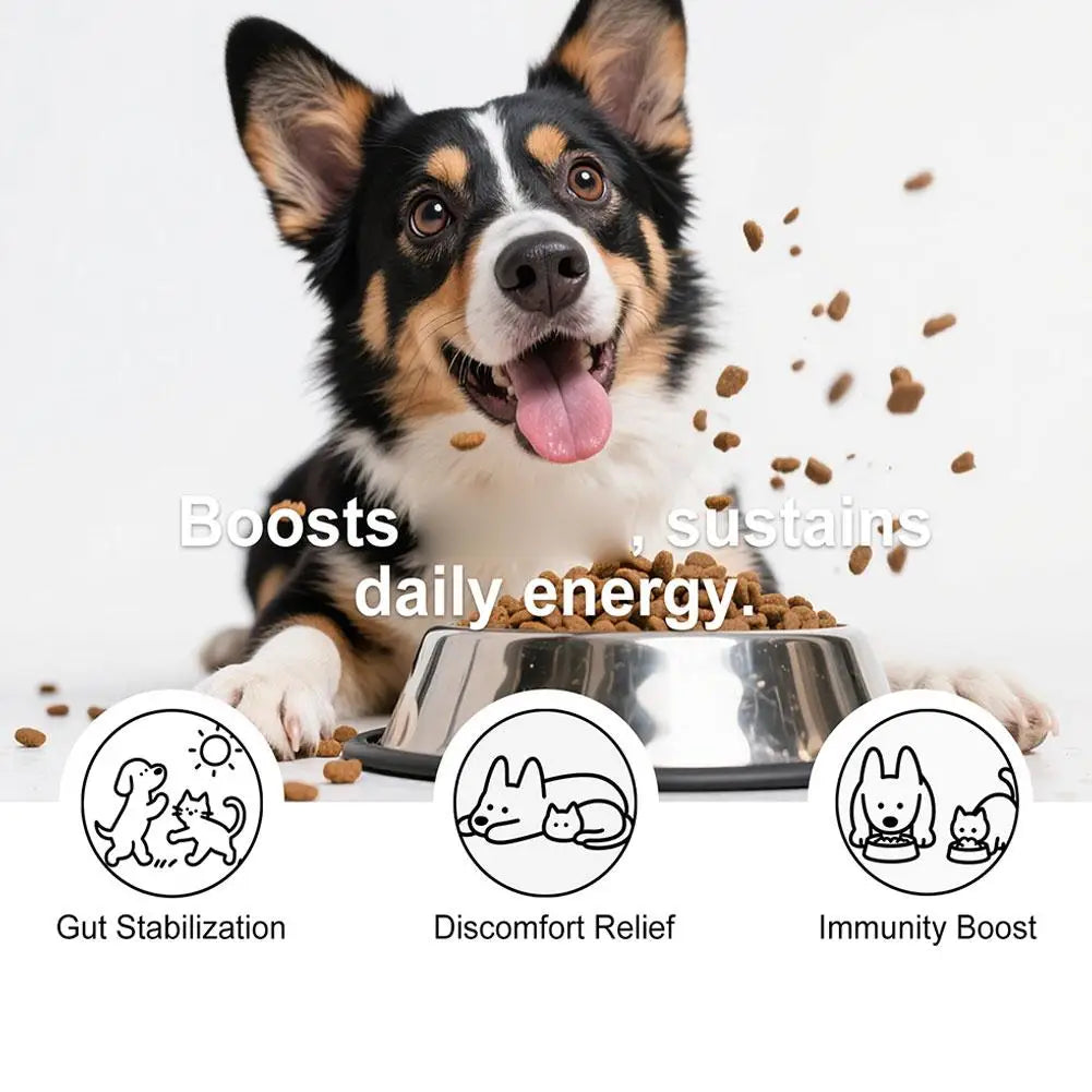 Dog Probiotic Intestinal Powder Gut Care Digestive Health Immune Support Chicken Beef Flavor Pet Nutrition Supplement