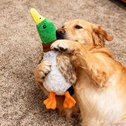 Cute Plush Duck Dogs Squeak Toys Funny Pet Play Intereactive Chew Toy for Small Medium Dog Pets Supplies Accessories