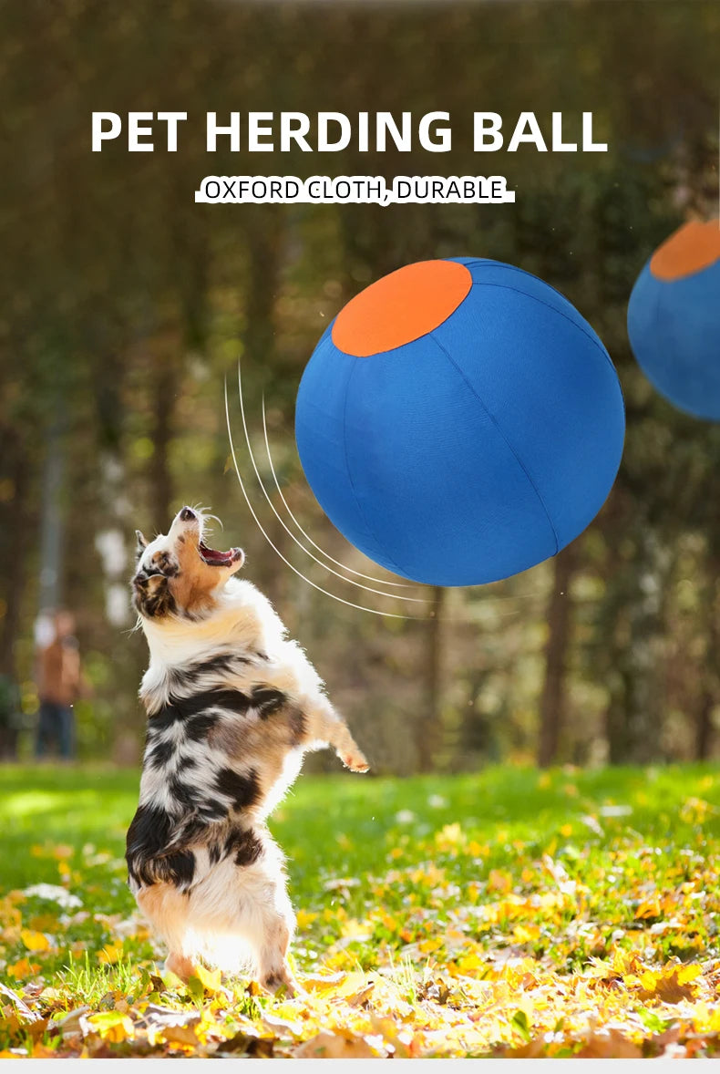 Inflatable Dog Ball – Large Outdoor Interactive Training Toy for Dogs