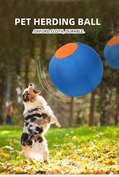 Inflatable Dog Ball – Large Outdoor Interactive Training Toy for Dogs