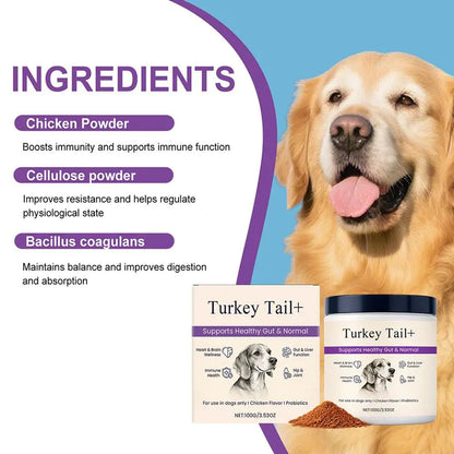 Bacon Flavor Dog Probiotic Powder Gut Flora Balance Digestive Aid Intestinal Health Care For Puppy Adult Dogs