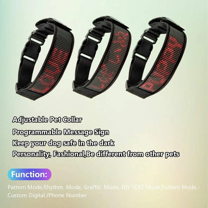 Programmable LED Dog Collar – Flashing Light-Up Rechargeable Safety Collar for Night Walks