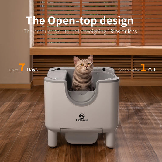 F6 Self-Cleaning Cat Litter Box – Automatic, Open-Top, Odor Control - Bdba PK