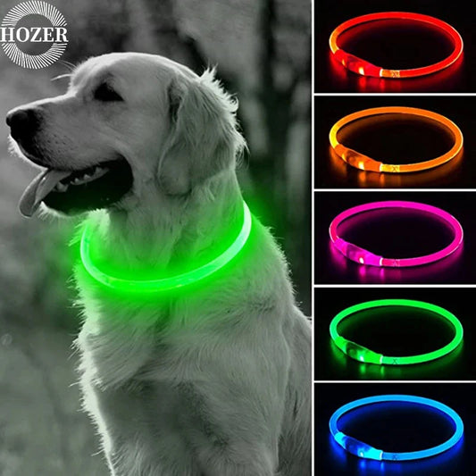 USB Rechargeable LED Dog Collar – Flashing Night Safety Glow Collar with Loss Prevention - Bdba PK