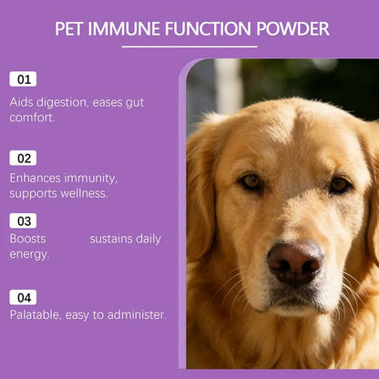 Dog Probiotic Intestinal Powder Gut Care Digestive Health Immune Support Chicken Beef Flavor Pet Nutrition Supplement
