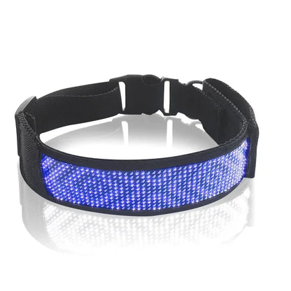 Programmable LED Dog Collar – Flashing Light-Up Rechargeable Safety Collar for Night Walks