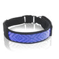 Programmable LED Dog Collar – Flashing Light-Up Rechargeable Safety Collar for Night Walks