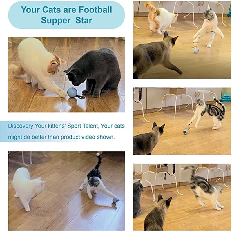 AI Smart Cat Ball Toy – USB Rechargeable 360° Rolling Interactive Cat Toy