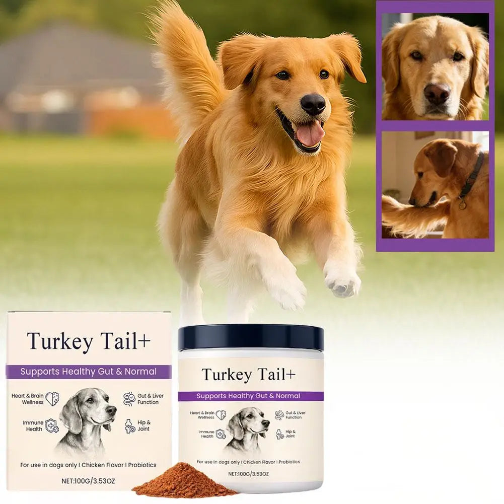 1/3PCS Dog Gut Health Powder 100g Probiotic Intestinal Support Bacon Flavor Chicken Meal Digestive Aid Joint Comfort Immune Care