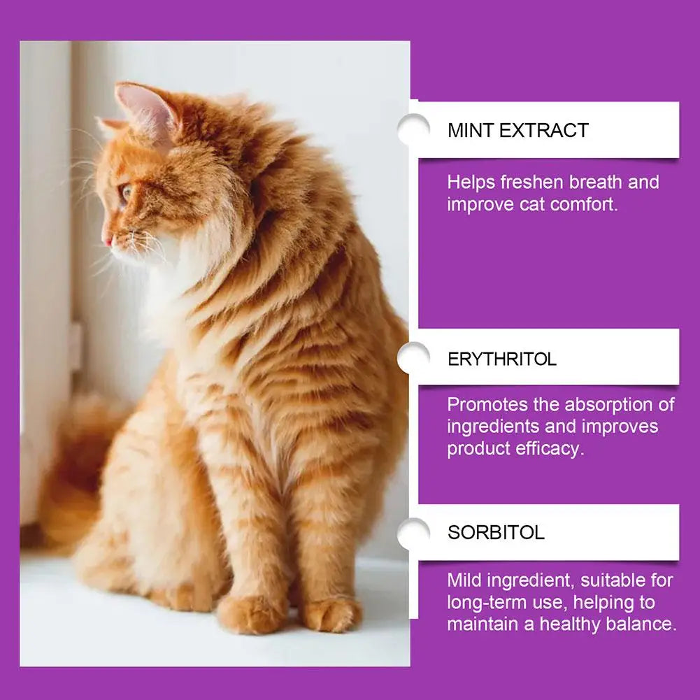 Cat Supplement All-in-1 Multi Liquid Body Care Drops Daily Supplement 60ml Body Care Drops For Supports Joint Care Skin & Coat