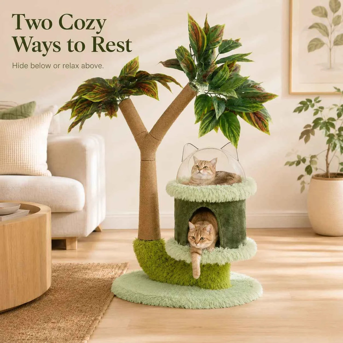 Mango Tree Cat Tree for Small Cats - Cozy Perch Fun Platform Scratching Post - Cat Furniture with Natural Sisal Rope