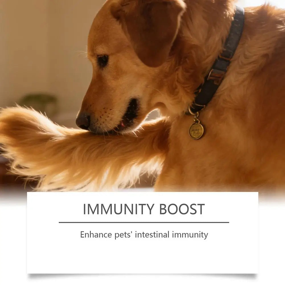 Bacon Flavor Dog Probiotic Powder Gut Flora Balance Digestive Aid Intestinal Health Care For Puppy Adult Dogs