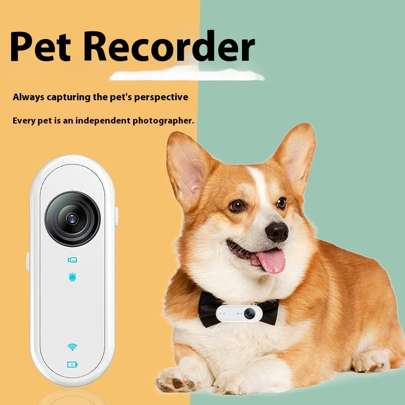 HD 1080P Pet Collar Camera – Waterproof WiFi Dog & Cat Body Cam with Anti-Shake