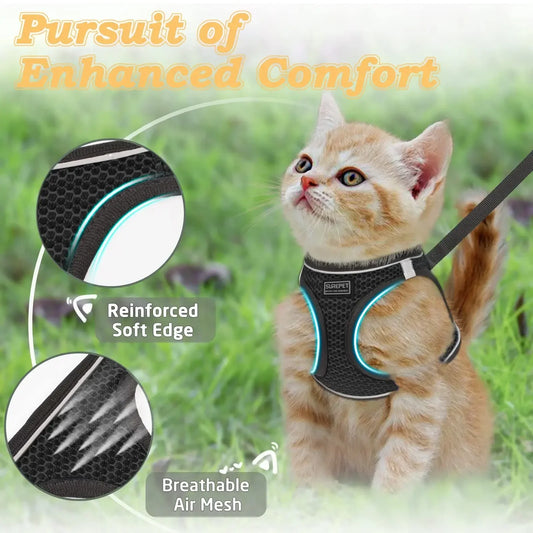 Cat Harness and Leash for Walking, Escape Proof, Adjustable Kitten Vest, Reflective Soft Mesh, Puppy Harness for Outdoor - Bdba PK
