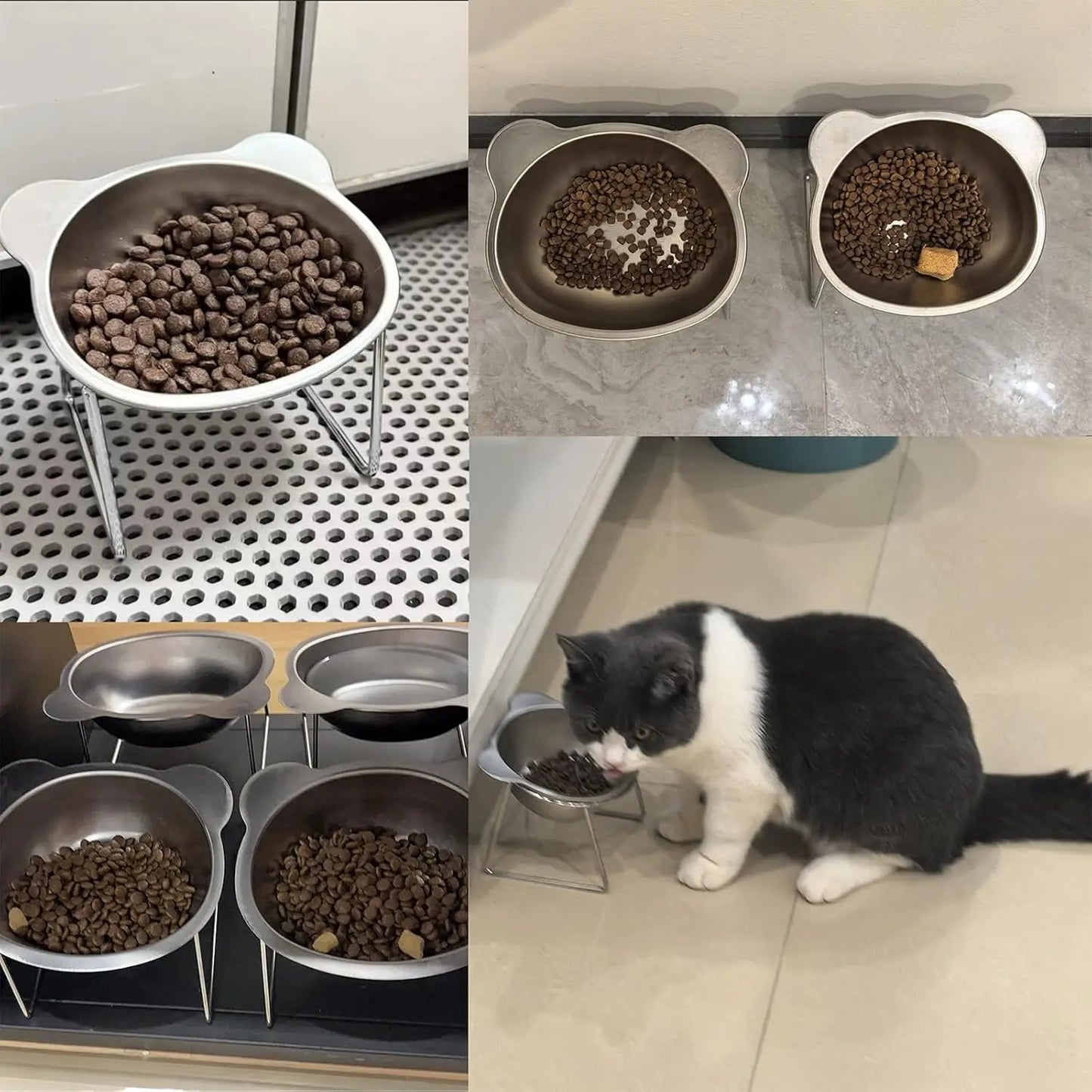 Stable Raised Cat Bowls Elevated 15° Neck Guard Dog Bowls Shatter-resistant 304 Stainless Steel Cat Food Bowl for Puppy and Cat