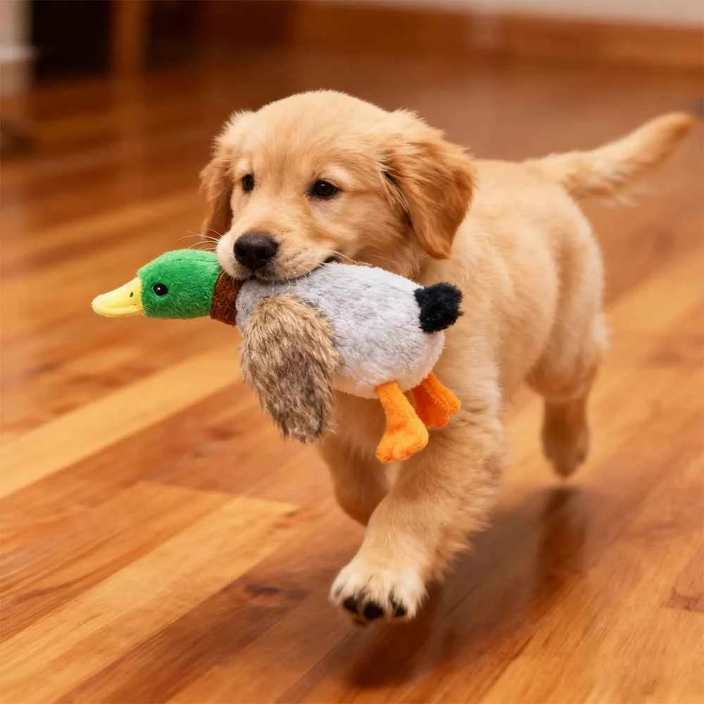 Cute Plush Duck Dogs Squeak Toys Funny Pet Play Intereactive Chew Toy for Small Medium Dog Pets Supplies Accessories