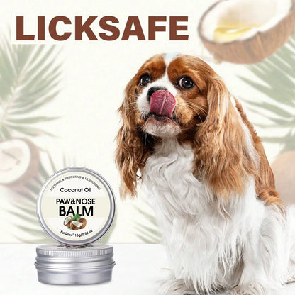 Pet Paw & Nose Balm – Coconut Oil Winter Care | Dogs & Cats