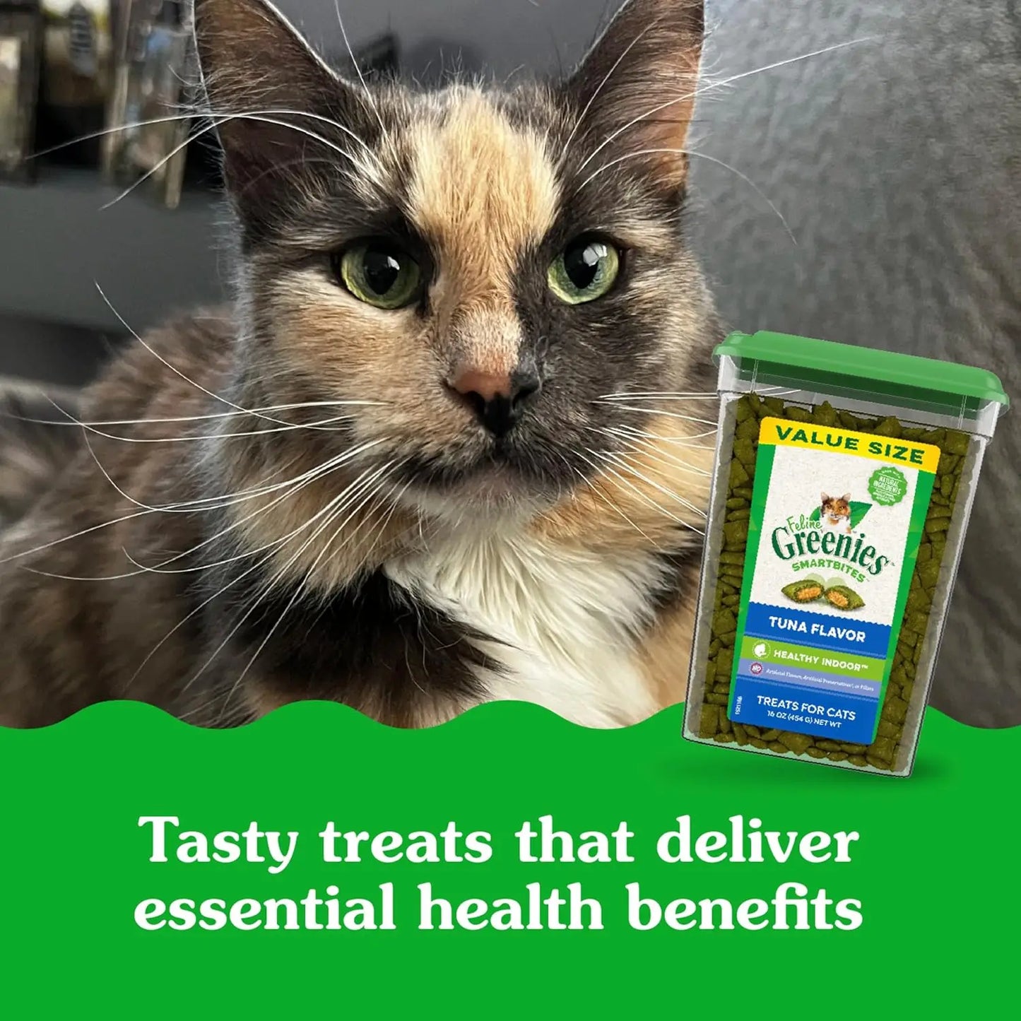 Feline Smartbites Indoor Cat Treats – Tuna Flavour 16oz Tub for Adult Cats