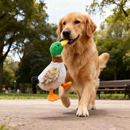 Cute Plush Duck Dogs Squeak Toys Funny Pet Play Intereactive Chew Toy for Small Medium Dog Pets Supplies Accessories