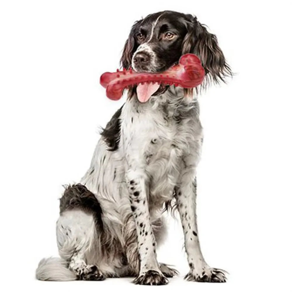 Dog Toys Teeth Sharpening Cleaning Dog Bones Natural Rubber Training Stiff Durable Chew Toys for Medium Large Dogs Pets Supplies