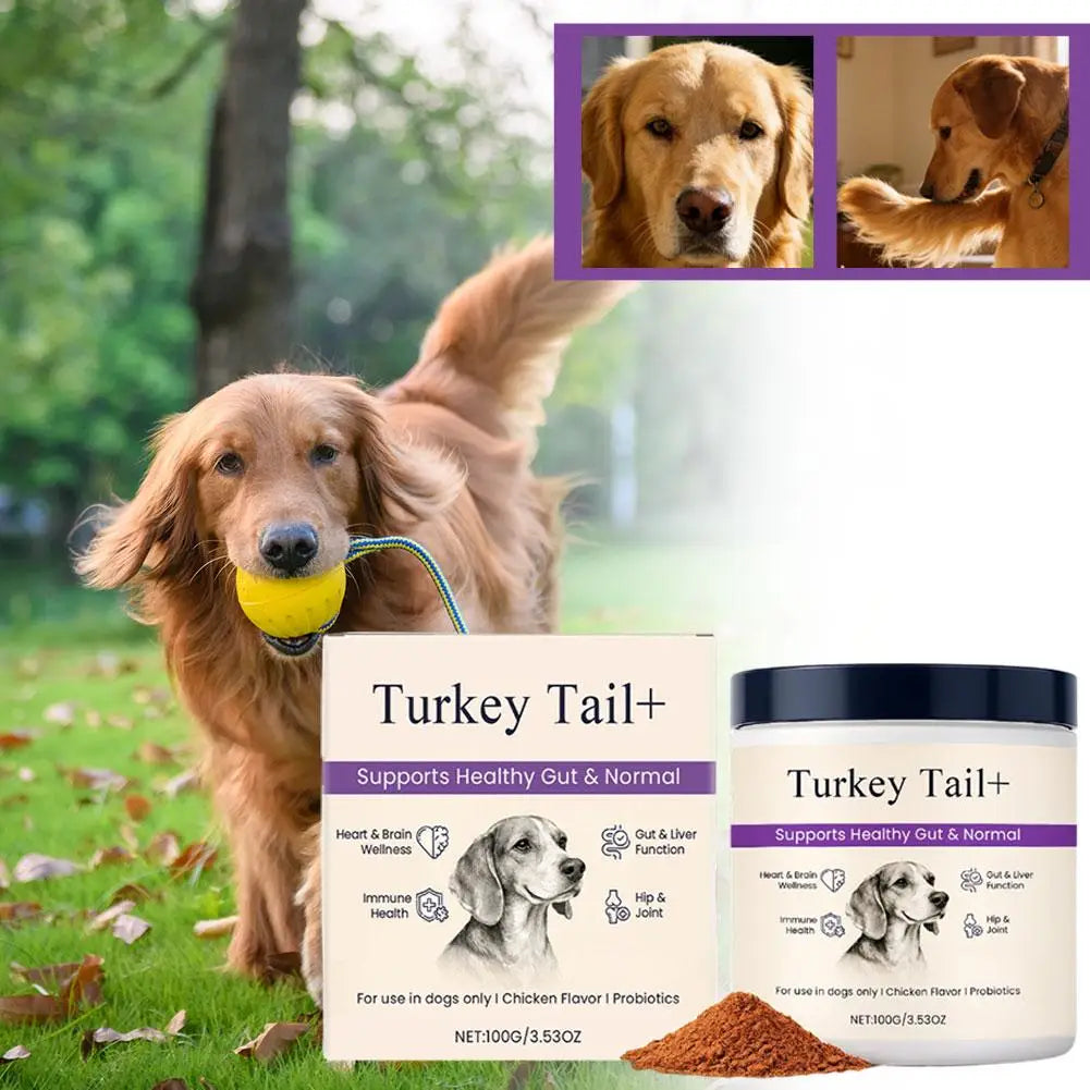 Dog Probiotic Intestinal Powder Gut Care Digestive Health Immune Support Chicken Beef Flavor Pet Nutrition Supplement