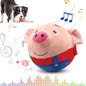 Cute Style Interactive Playing Dog Toy Cartoon Design Safe & Durable Suitable for Puppies & Adult Cats Dogs Toy Indoor Play