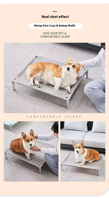 Elevated Pet Cot Stainless Steel Frame - All Season Military Dog Bed Removable Washable Off Ground for Small Pets