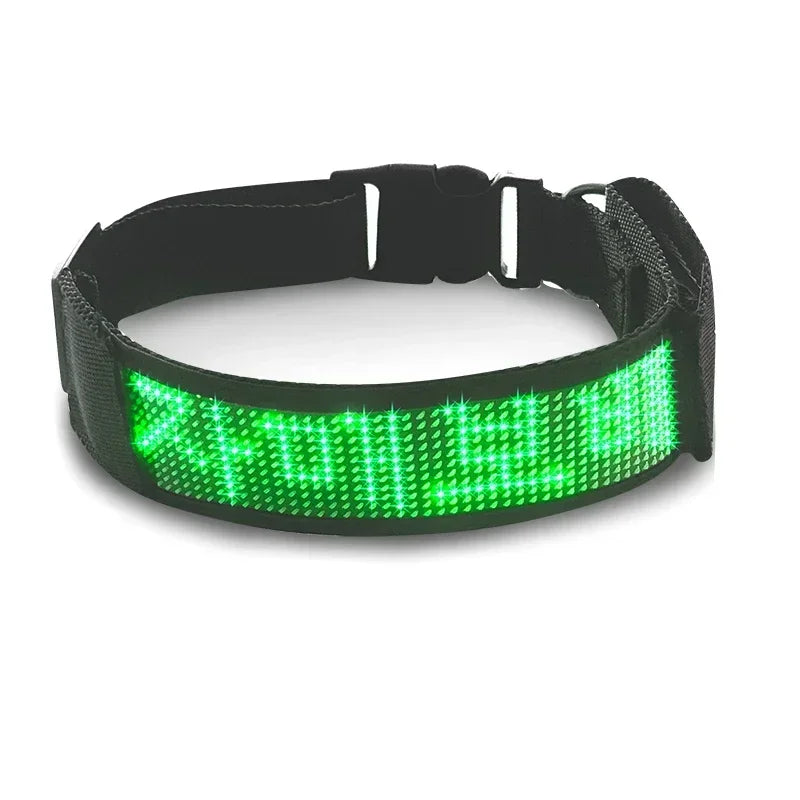 Programmable LED Dog Collar – Flashing Light-Up Rechargeable Safety Collar for Night Walks