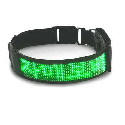 Programmable LED Dog Collar – Flashing Light-Up Rechargeable Safety Collar for Night Walks