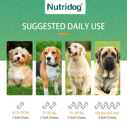 NUTRIDOG Dog Anti-Allergy Chews Salmon Flavor Soft Chew Allergy Relief Skin Health Coat Defense 120 PCS/Bottle