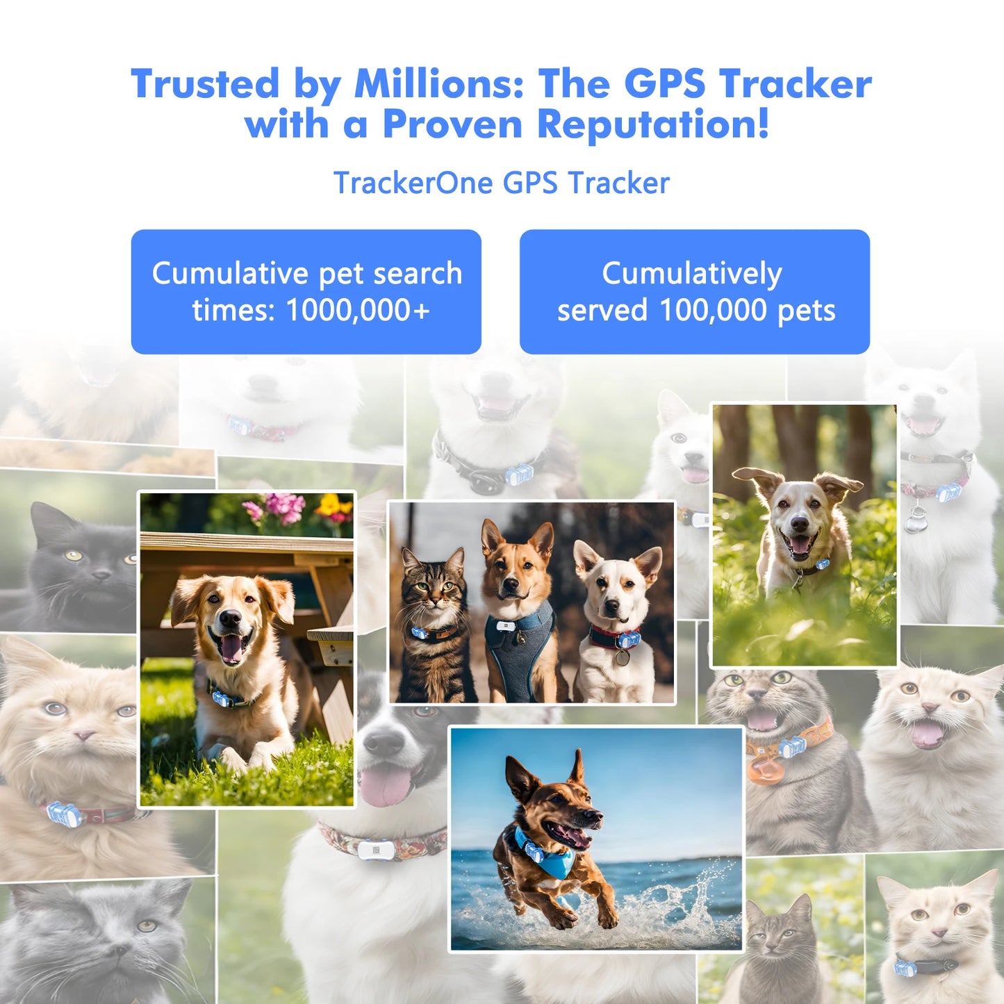WANWAYTECH 4G Pet GPS Tracker – Waterproof Live Tracking for Dogs & Cats