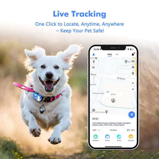 WANWAYTECH 4G Pet GPS Tracker – Waterproof Live Tracking for Dogs & Cats - Bdba PK