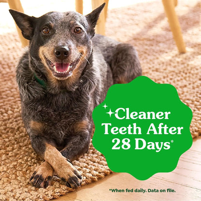 Natural Dental Dog Treats – Vet Recommended Regular Size Chews for Adult Dogs (36ct)