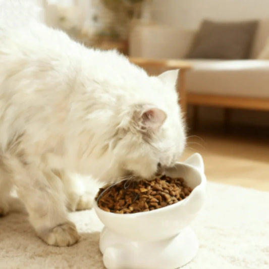 Cat Bowl Pet Accessories Ceramic Diagonal High Feet Cute Protection Cervical Spine Dog Bowl Drink Water Bowl Pet Supplies - Bdba PK