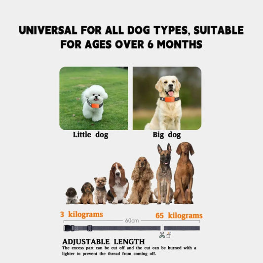 Smart Anti-Bark Dog Collar with Digital Screen, Automatic Bark Detection, Precise Control and Gentle Training Modes for Dogs