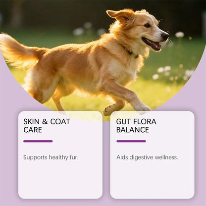 Dog Collagen Absorbable Drops Pet Cleaning & Nutritional Care - Skin Hair Intestinal Joint Health Support Daily Pet Supplement