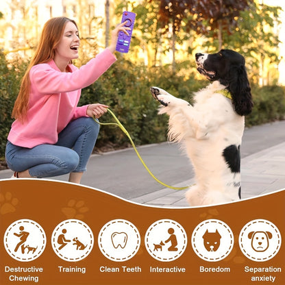 Teething Toys for Puppies That Resemble Remote Controls, These Colorful Chew Toys Are Designed to Entertain And Stimulate Teething Puppies.